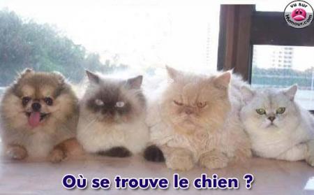 Jeux