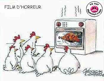 poules
